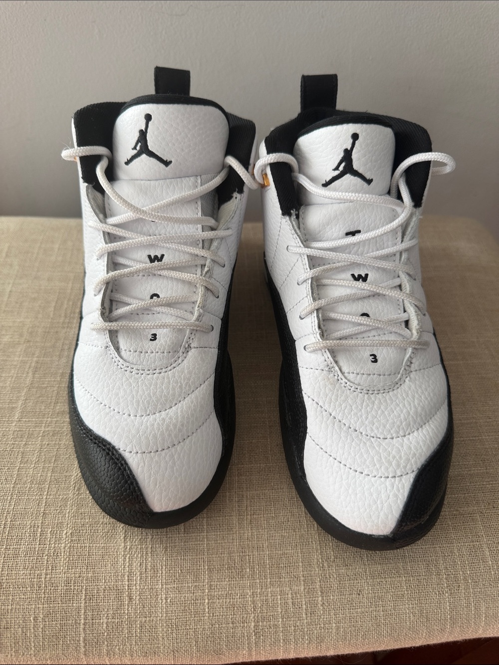 Air Jordan 12 Retro Black and White